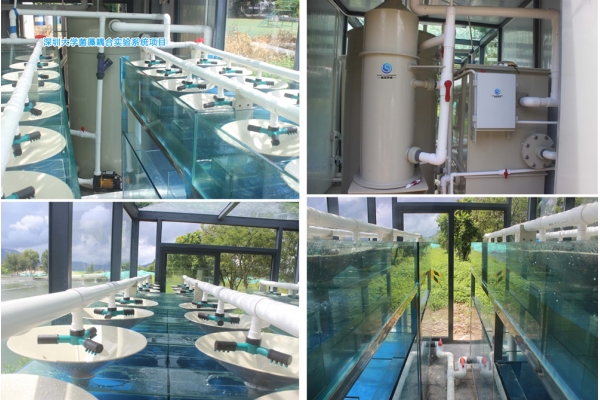 深圳大学菌藻耦合实验系统项目