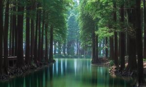 伺服电机行业竞争格局、龙头企业及未来发展趋势分析2024(图5)