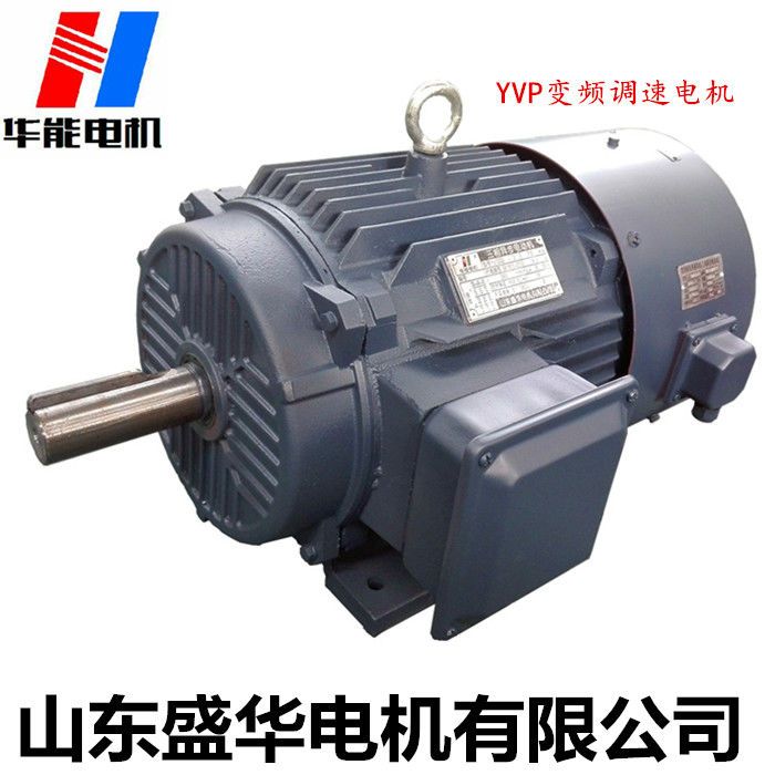 山东盛华电机厂：变频调速电动机的优势简述