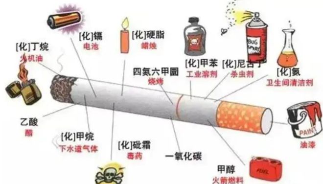 全效空气净化器如何选贝尔克D01 plus空气净化器除烟怎么样？(图2)