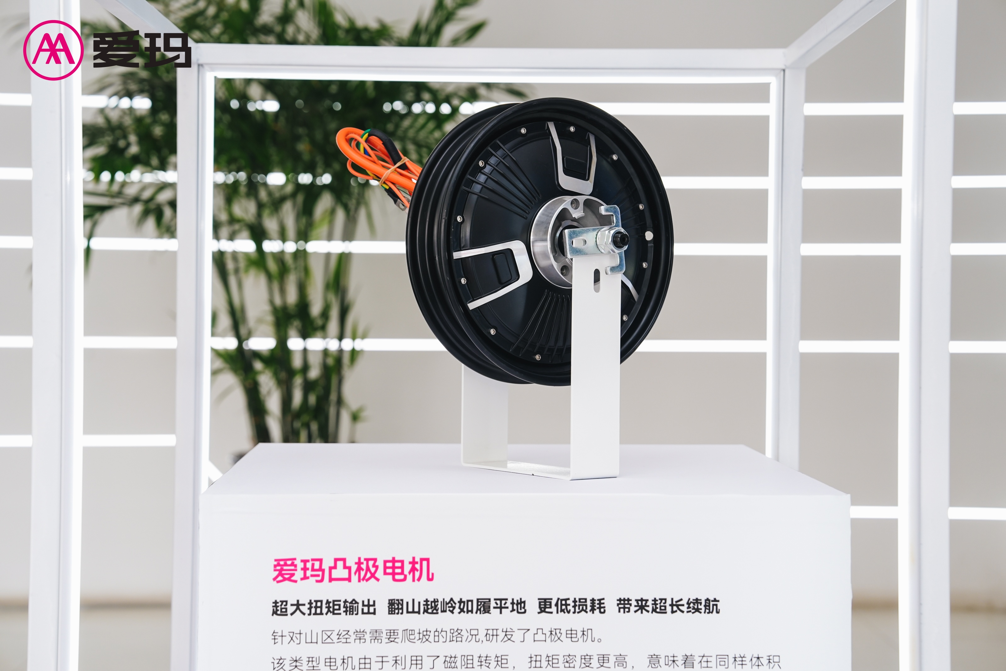 爱玛机电技术品鉴会暨1000万台电机下线仪式举行(图6)