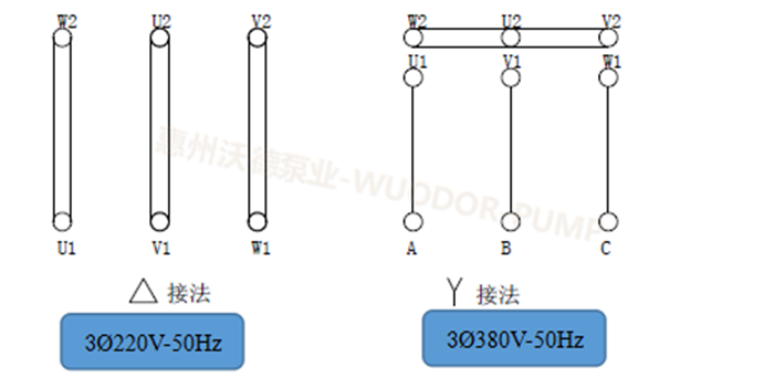 高温磁力驱动泵电动变频电机磁力泵(图3)