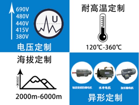山东盛华变频电机厂家变频调速电机定制生产厂家(图3)