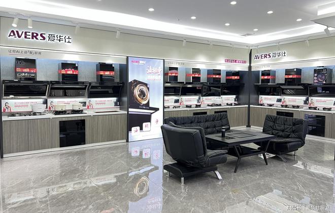AVERS爱华仕 2025智启未来品赢人心(图9)