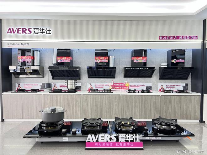 AVERS爱华仕 2025智启未来品赢人心