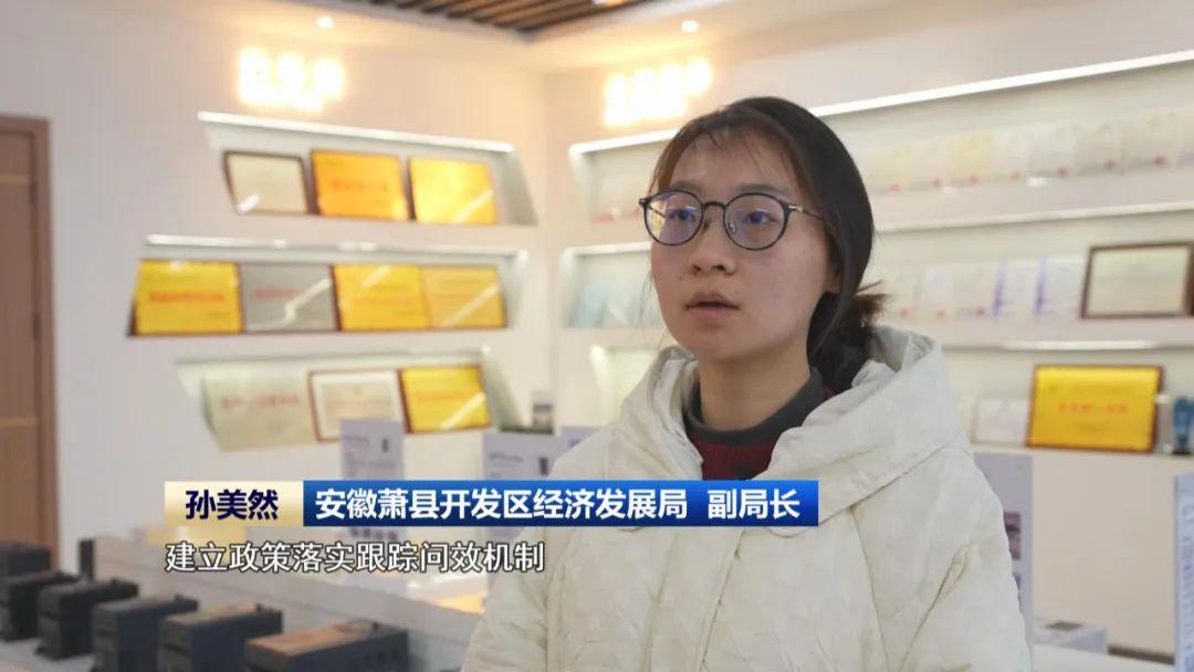 【民营经济高质量发展】民营经济“枝繁叶茂” 高质量发展“动能澎湃”(图4)