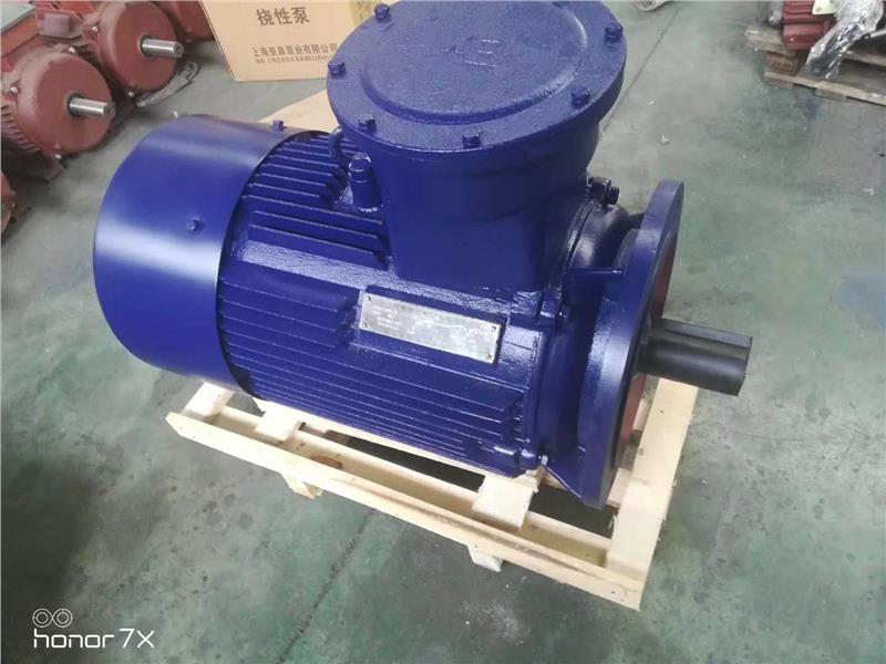 船用防爆变频电机CT4 船用隔爆型三相异步电机厂家-搜了网