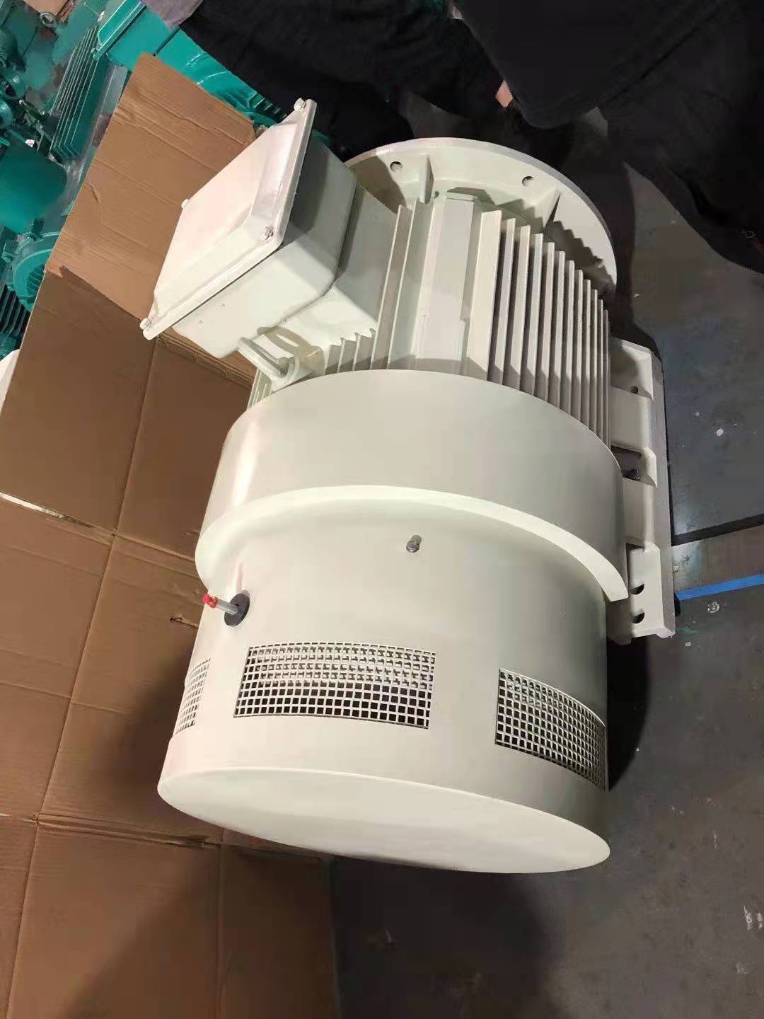 福州全新高压电机 CT4变频防爆电机型号大全-搜了网(图2)