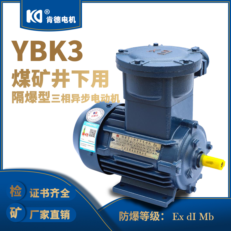 隔爆型三相异步电机供应 YB