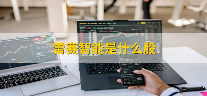 雷赛智能接待30家机构调研包