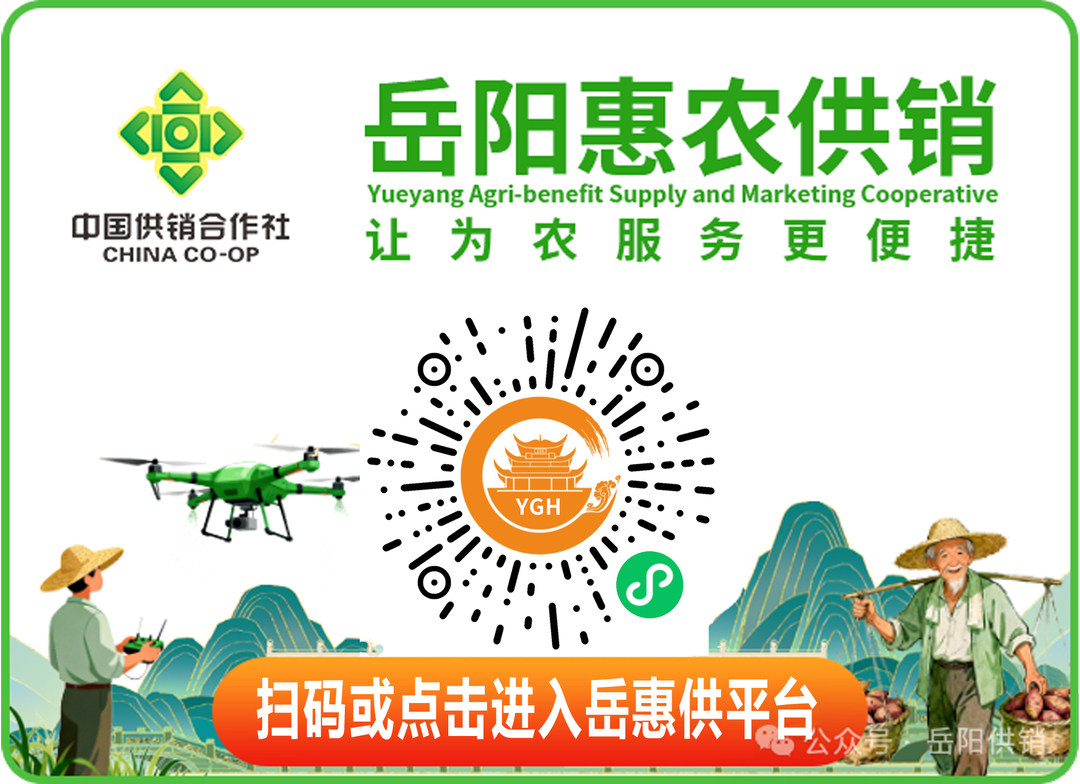 非凡“十四五”｜向海图强风帆劲！岳阳临港高新区以高水平开放促高质量发展(图7)