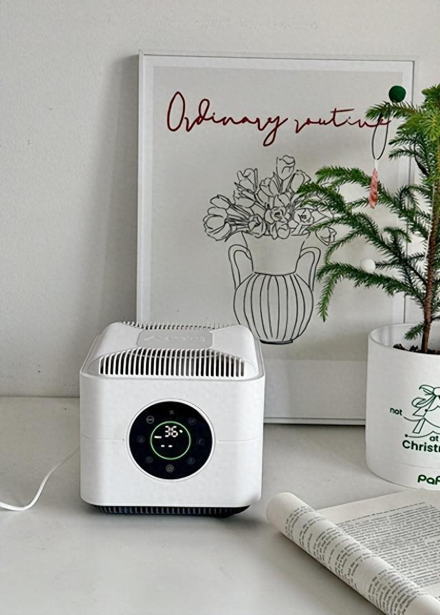 2026最新桌面净化器榜单T