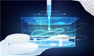 国际市场_中研普华行业研究网(图10)